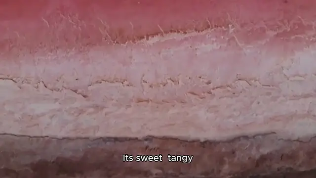 Video thumbnail for pickled ginger recipe