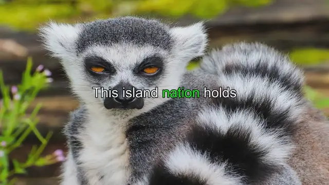 Video thumbnail for Exploring the Rich History and Vibrant Culture of Madagascar
