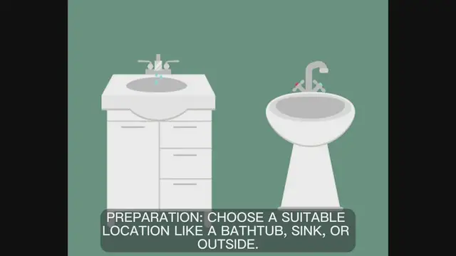 'Video thumbnail for Wash your dog.'