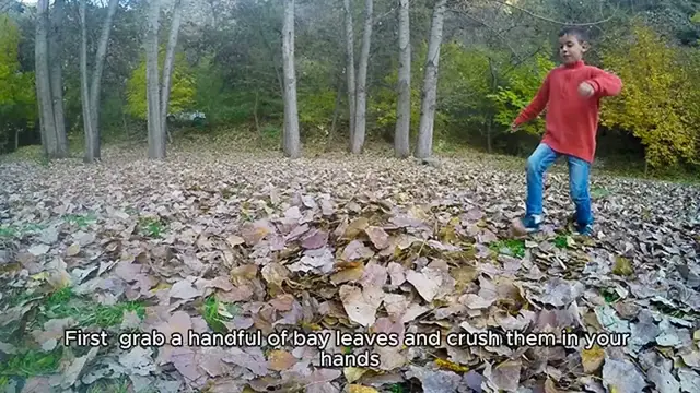 Video thumbnail for bay leaf tea recipe