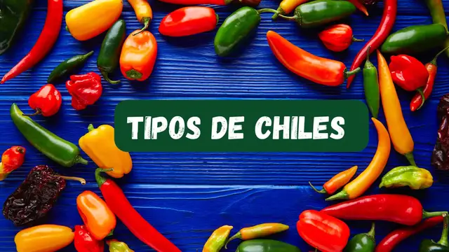 Video thumbnail for Conoce los tipos de chiles más usados en la cocina mexicana