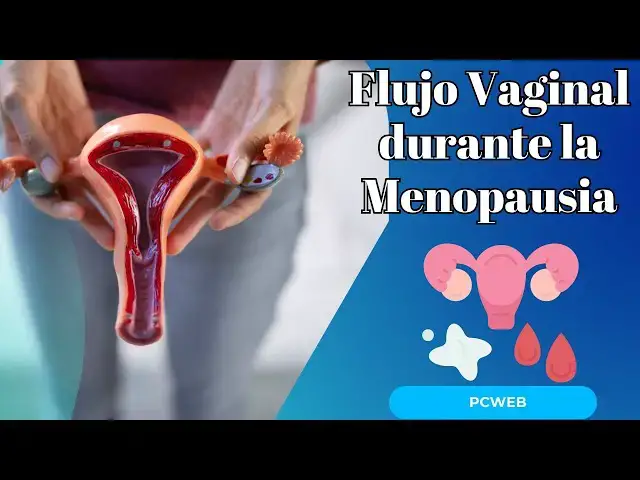Video thumbnail for Flujo Vaginal durante la Menopausia: Causas y Manejo