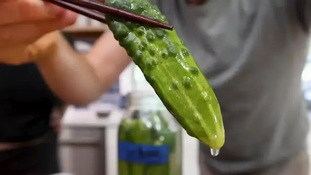 'Video thumbnail for The ONLY pickle video you need to watch. (720p 30fps)'