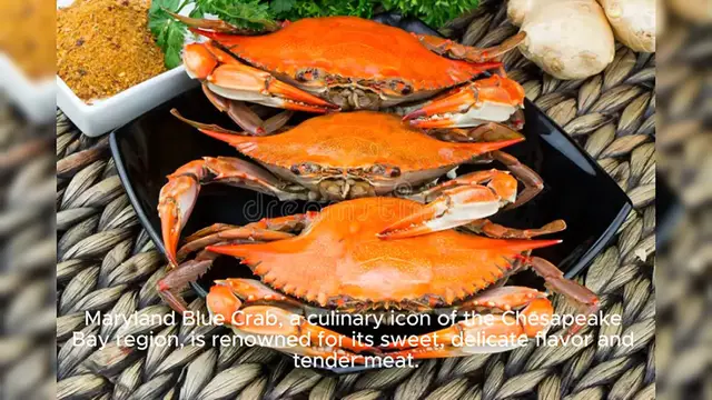 Video thumbnail for Maryland Blue Crab