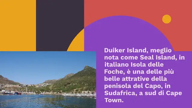 Video thumbnail for SEAL ISLAND: L'ISOLA DELLE FOCHE A CAPE TOWN