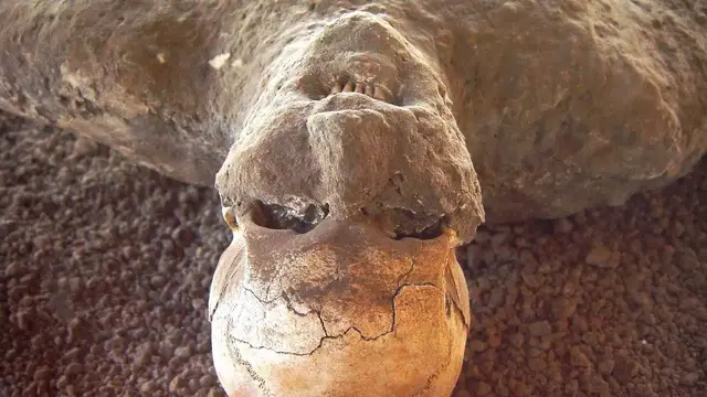 Video thumbnail for The Grim Truth About The Bodies Of Pompeii