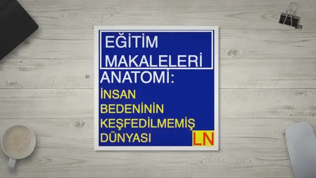 Video thumbnail for Anatomi: İnsan Bedeninin Keşfedilmemiş Dünyası