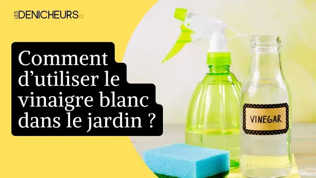 Video thumbnail for 🧴  10 façons d’utiliser le vinaigre blanc dans le jardin 🌿
