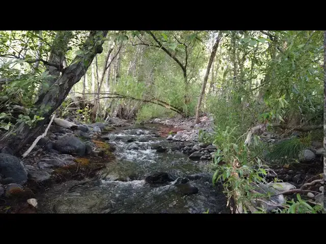 Video thumbnail for Beautiful Outdoors RV Trip 1