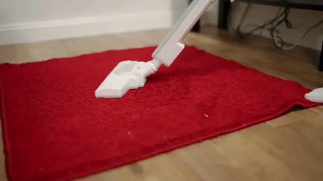 'Video thumbnail for How to Prevent Carpet Mold'