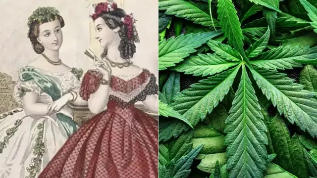 Video thumbnail for How Marijuana Was Used In Victorian England