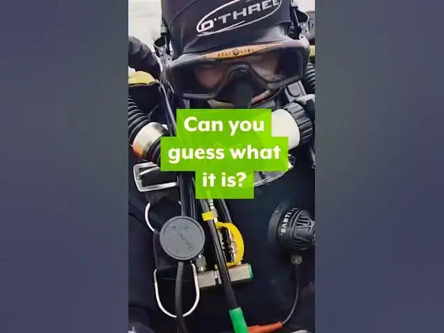'Video thumbnail for This Dive Challenge Will Surprise You!'