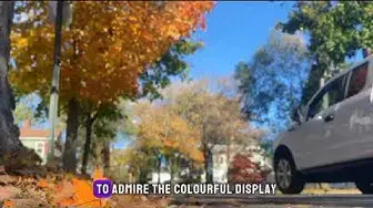 Video thumbnail for "Capturing the Beauty of Fall: A Spectacular Journey Through Autumn's Splendor!"