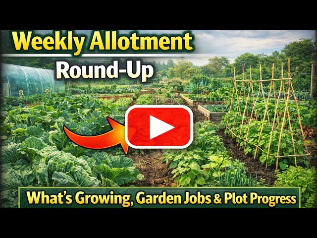 Video thumbnail for Weekly Garden Round-Up | What’s Growing, Garden Jobs and Progress