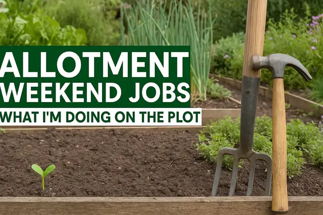 'Video thumbnail for 🌱🛠 Allotment Weekend Jobs | What I’m Doing on the Plot'