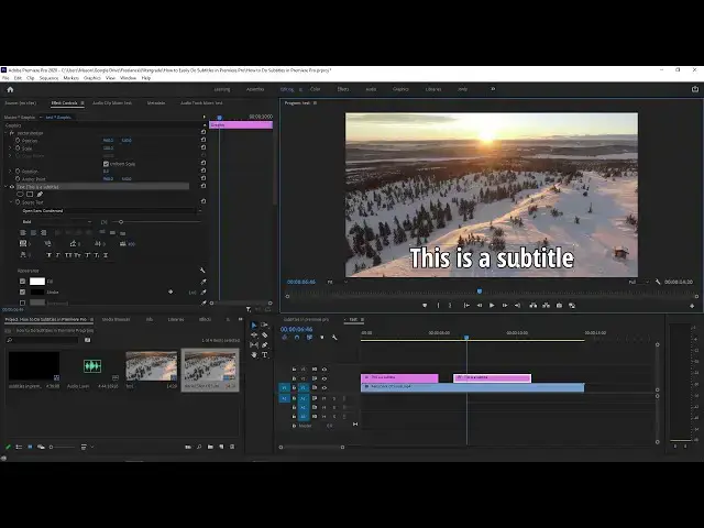 'Video thumbnail for How to Easily Add Subtitles in Premiere Pro'