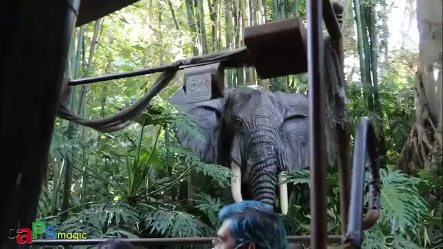 Video thumbnail for The World Famous Jungle Cruise - Adventureland - Disneyland