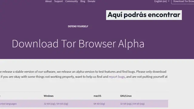 Video thumbnail for ¿Qué es la Dark Web y cómo puedo acceder a sitios web de la Dark Web?