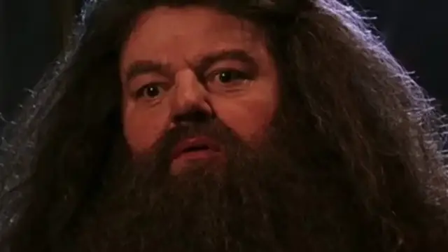 Video thumbnail for Harry Potter Stars Who Left Us Too Early