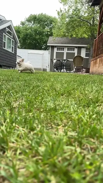 Video thumbnail for 👋 #shorts