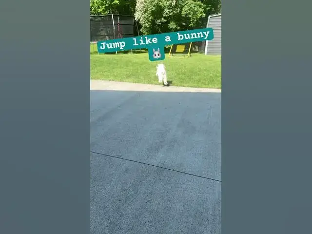 Video thumbnail for 👋 #shorts