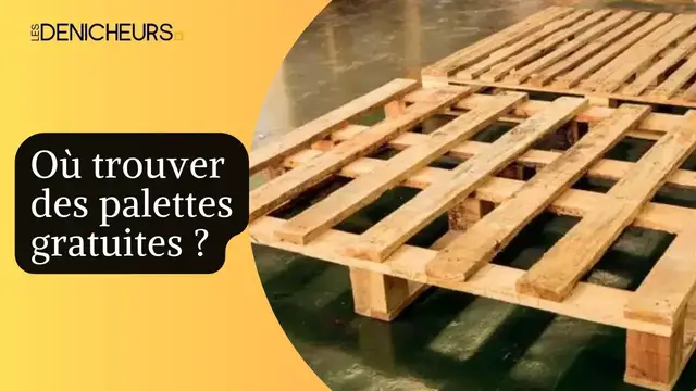 Video thumbnail for 🪜 Où trouver des palettes gratuites ? 🔍​🌍