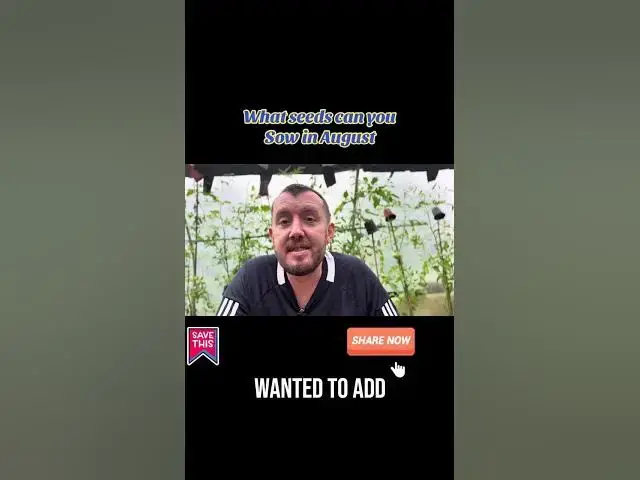 'Video thumbnail for What vegetable seeds can you sow in August'
