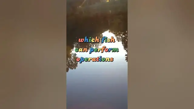 Video thumbnail for Fishing Joke 100 #jokes #fishingjokes #humor #joke