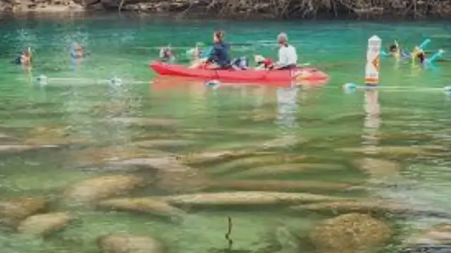 Video thumbnail for Discovering the Pristine Beauty of Crystal River, Florida Beaches