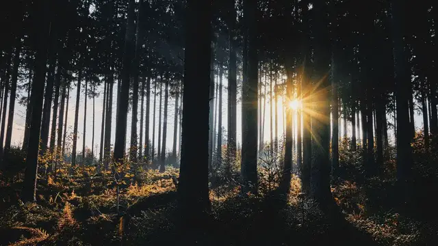 'Video thumbnail for 1HOUR Instrumental Background Relaxing Music for Yoga and Spa/Yoga Meditation Vs Relax Mind #zx2xb'