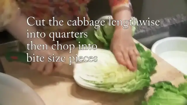 'Video thumbnail for How to make Easy Kimchi (막김치) (720p 30fps)'