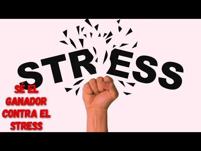 'Video thumbnail for ¿Estrés? ¡No más! Descubre los 5 tipos de estrés y cómo combatirlos'