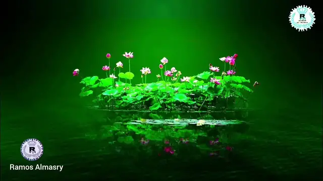 Video thumbnail for يا ايها الناس ضرب مثل فاستمعوا له