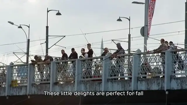 Video thumbnail for apple turnover recipe