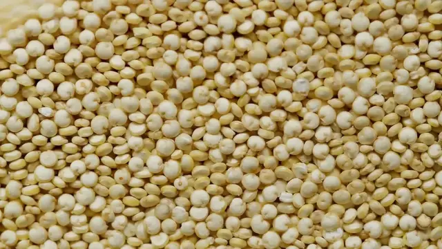 Video thumbnail for Unlock Your Body's Secrets: Smart Body Analyzer Review & Demo – Discover Health Insights!