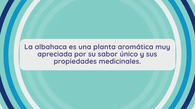 Video thumbnail for Cómo cultivar con éxito albahaca en macetas: trucos y consejos para un mantenimiento óptimo