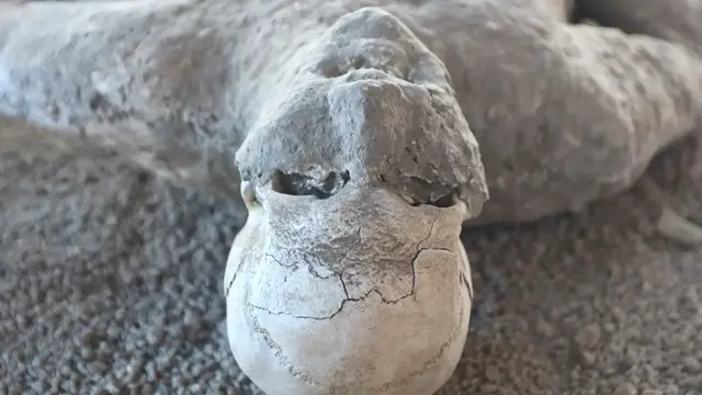 'Video thumbnail for What Happened To The Bodies From Pompeii's Neighboring City'
