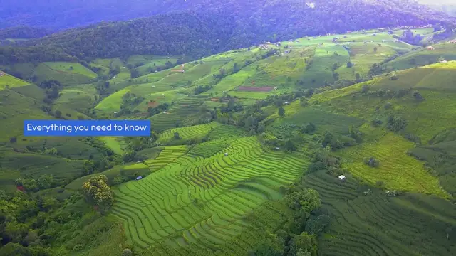 Video thumbnail for  What is this mysterious GPT-2 chatbot? GPT-5 Undercover?: Everything you need to know