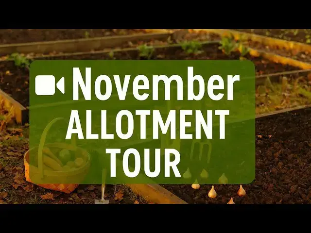 'Video thumbnail for 🎥 ✅ November ALLOTMENT TOUR 🍂🌱 | Winter Prep, Bulb Planting & Autumn Harvests!'