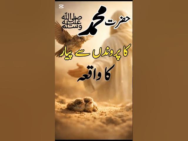 Video thumbnail for Mercy of Prophet ﷺ|Rehmat Sirf Insanon Tak Nahi #ProphetMuhammad ﷺ#IslamicShorts#MercyInIslam#Rehmat