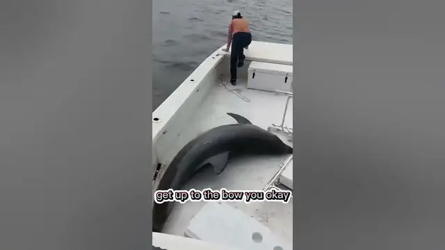 Video thumbnail for Catch of the Day? Funny Fishing Memes! #shorts