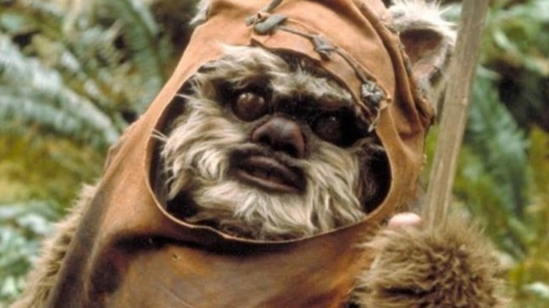 Video thumbnail for The Ewok Adventures Finally Explained