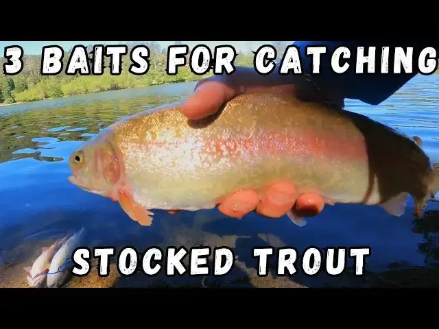 Video thumbnail for 3 Baits to Catch Stocked Trout in Lakes | Fishing California Mountains