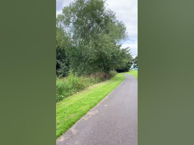 Video thumbnail for Calm nature