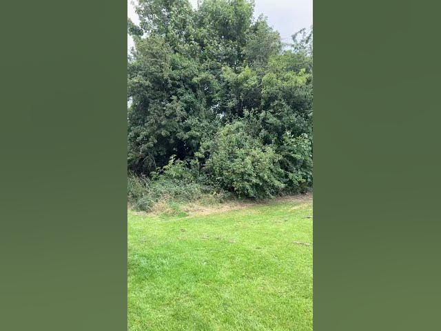 Video thumbnail for Walking in nature