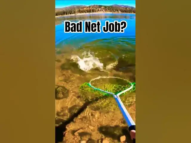 Video thumbnail for Little Fighter on the Line | Get the Net!