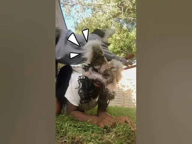 Video thumbnail for 5 October 2025