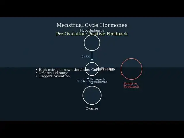 Video thumbnail for Feedback Mechanisms Explained