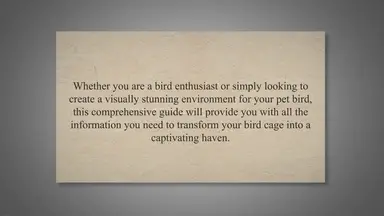 'Video thumbnail for Enlightening Your Feathered Friend's Home: Bird Cage Decoration With Lights - A Comprehensive Guide'