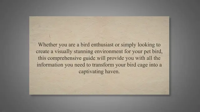 'Video thumbnail for Enlightening Your Feathered Friend's Home: Bird Cage Decoration With Lights - A Comprehensive Guide'